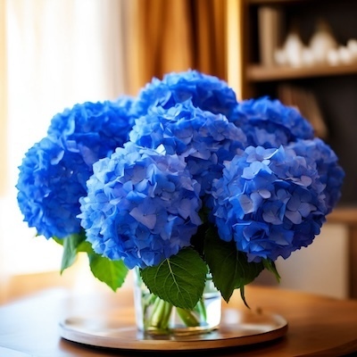 image_387994